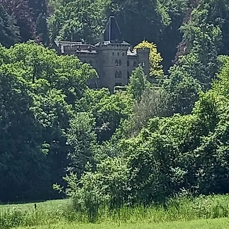 Ap4 Nature Ardennes Economy Class *